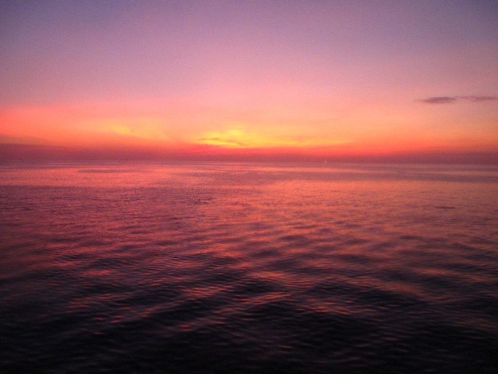 duiken op koh tao