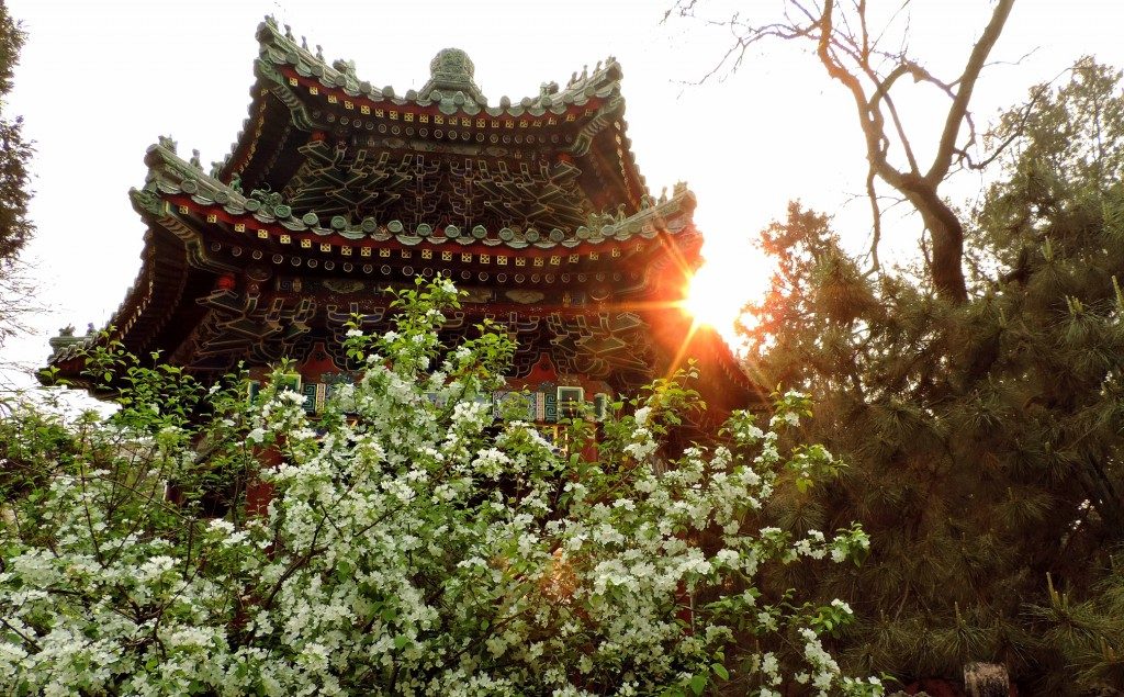 Imperial garden