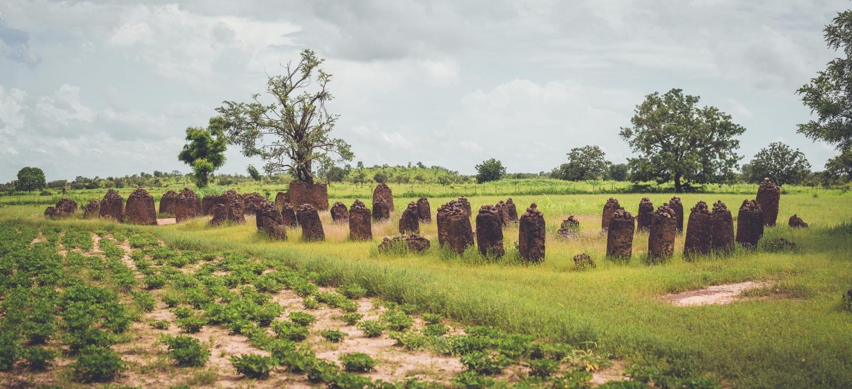 reisjunk_gambia-12