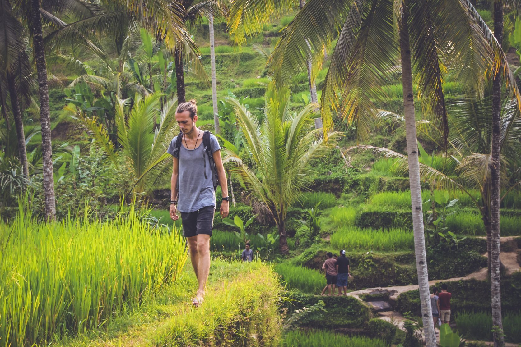 bali rice fields ubud
