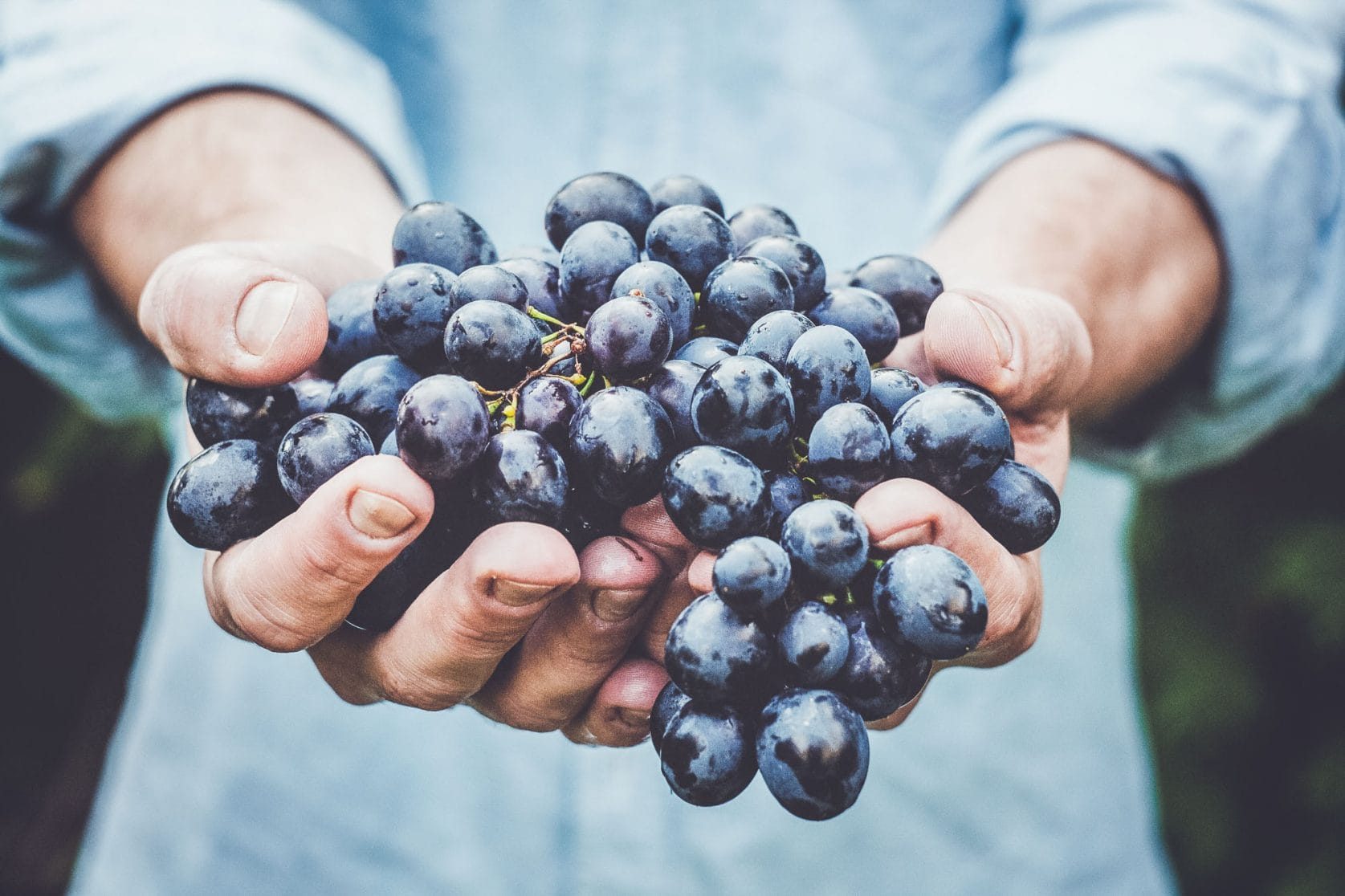 A photo by Maja Petric. unsplash.com/photos/vGQ49l9I4EE