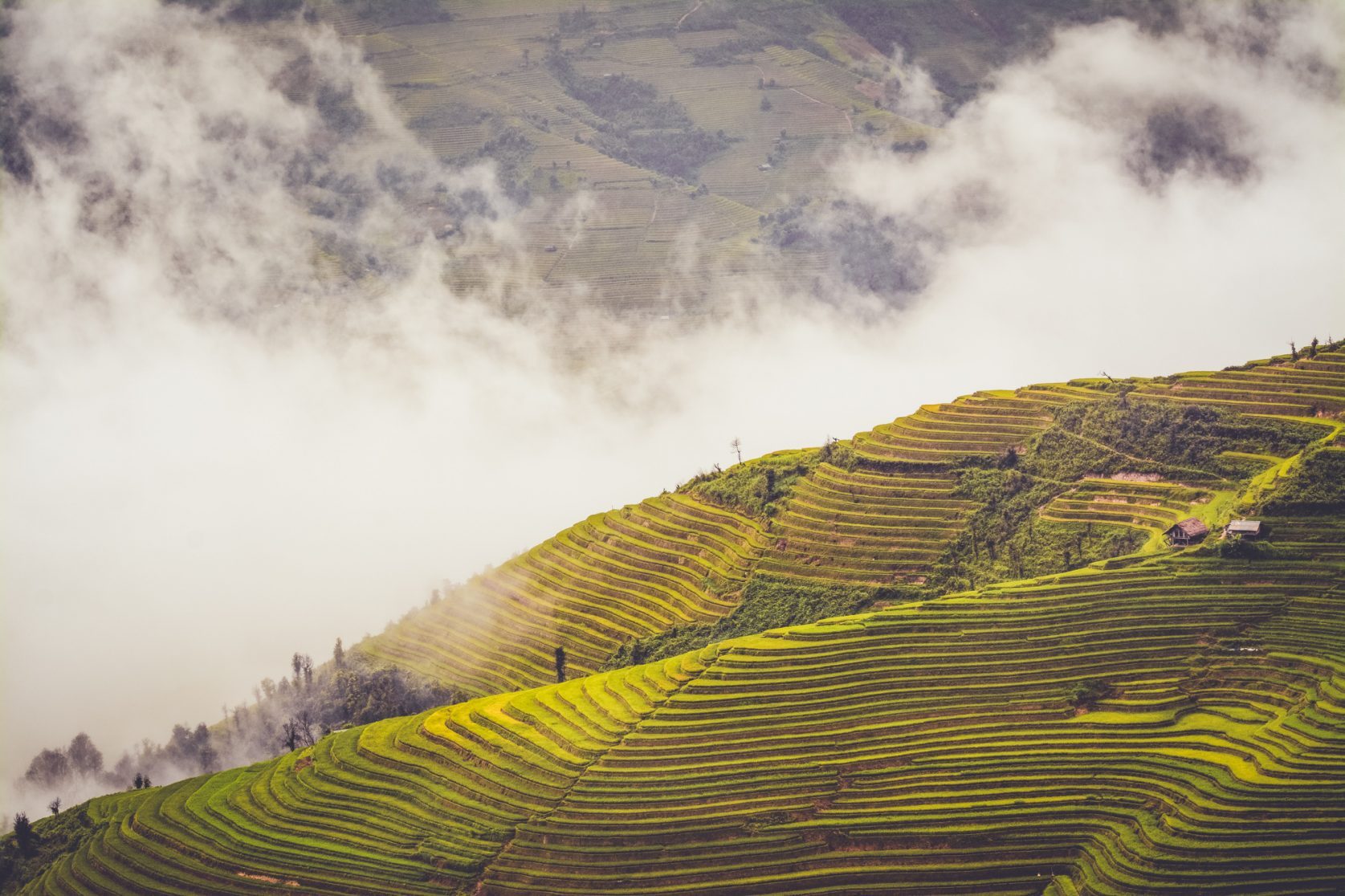 vietnam sapa