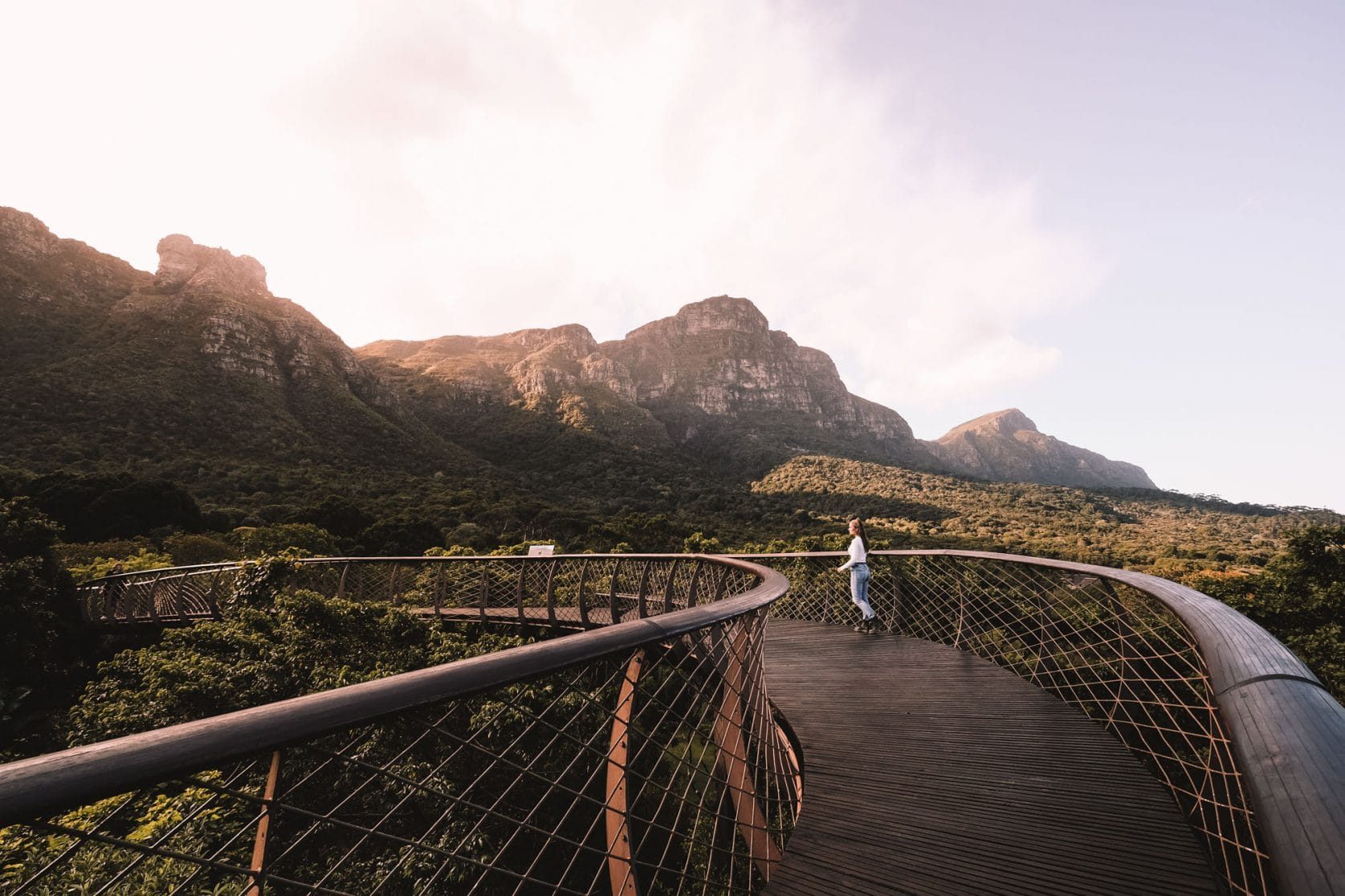 kirstenbosch national botanical garden