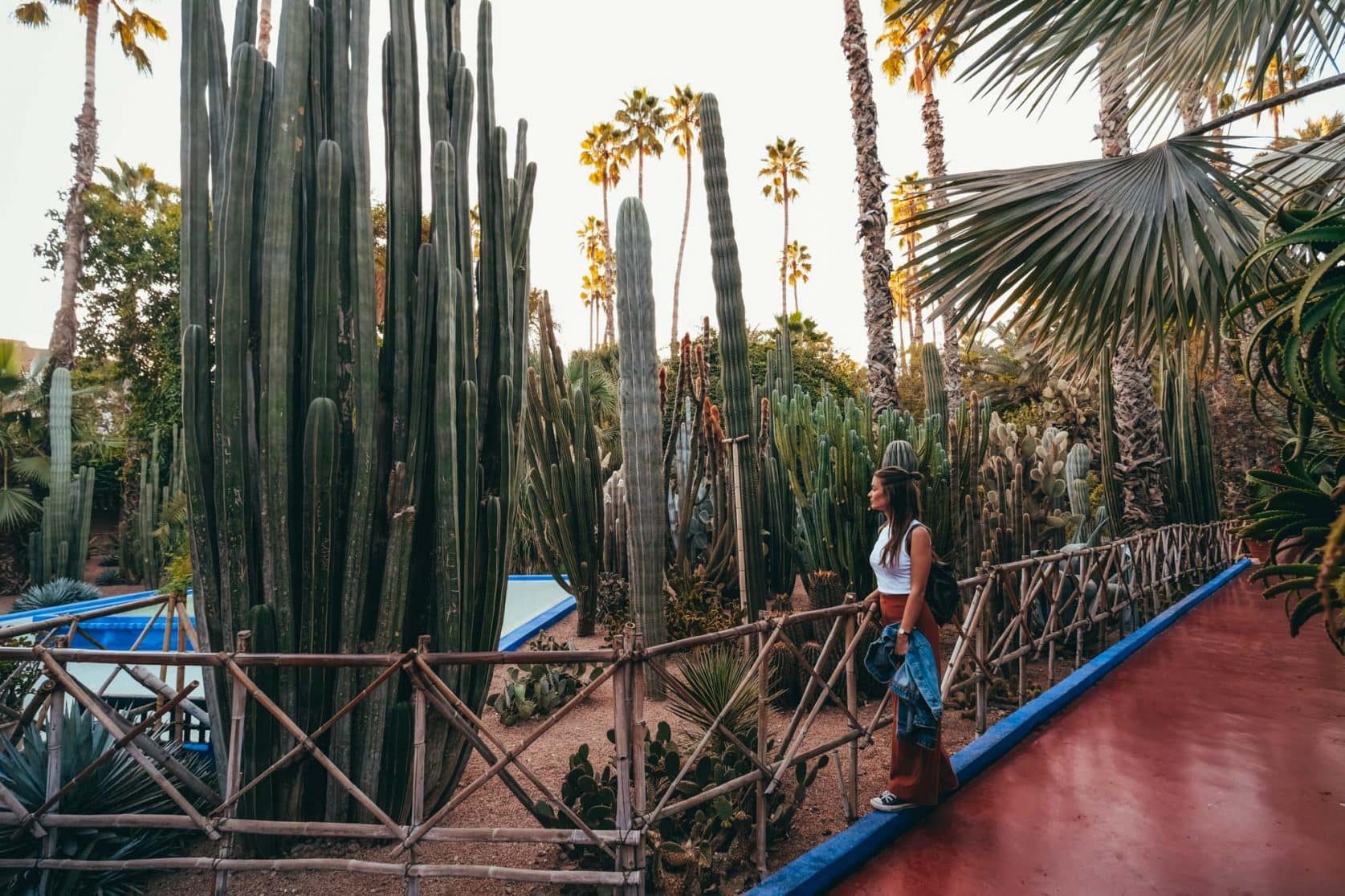Le Jardin Majorelle in Marrakech